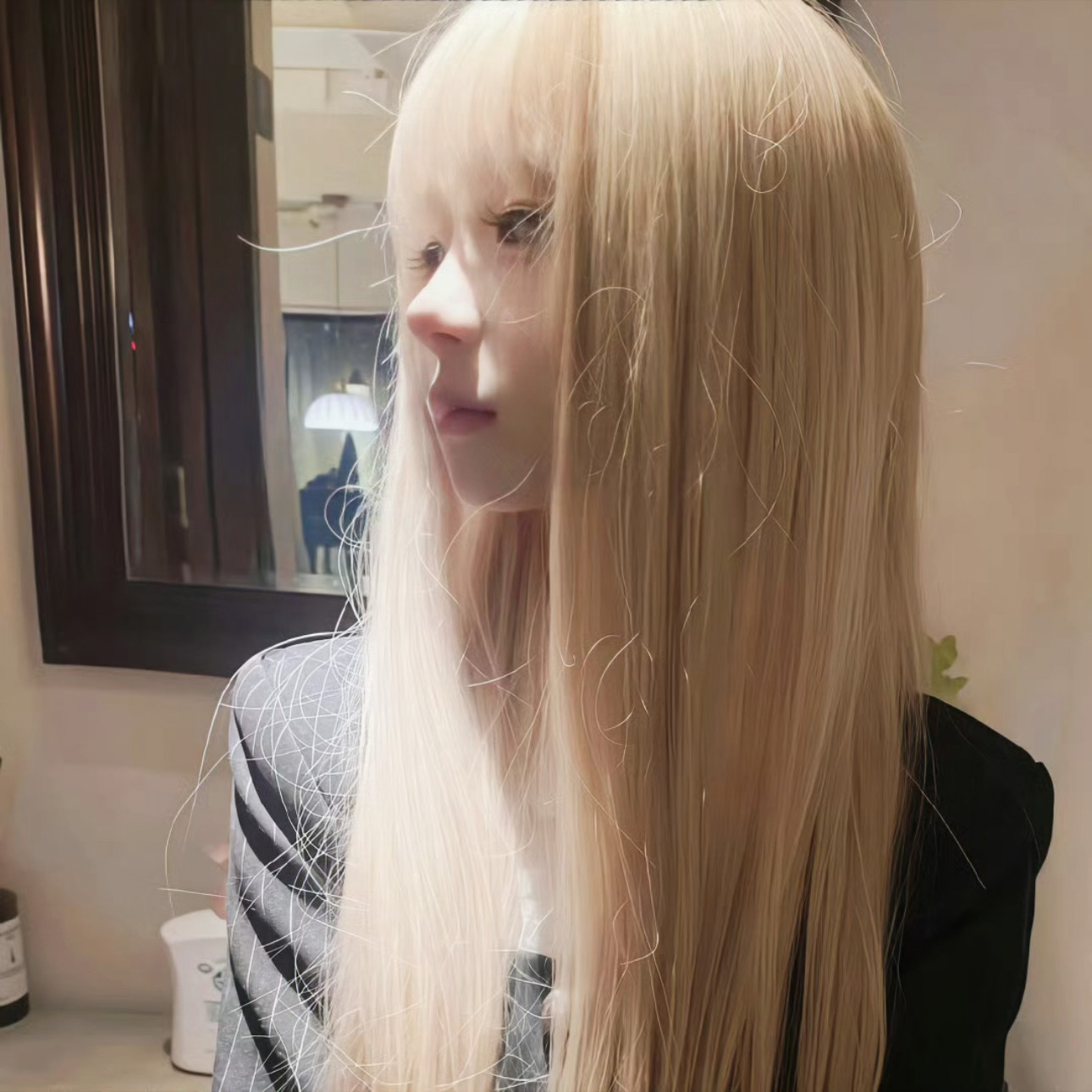 Staffordshire Bull Terrier