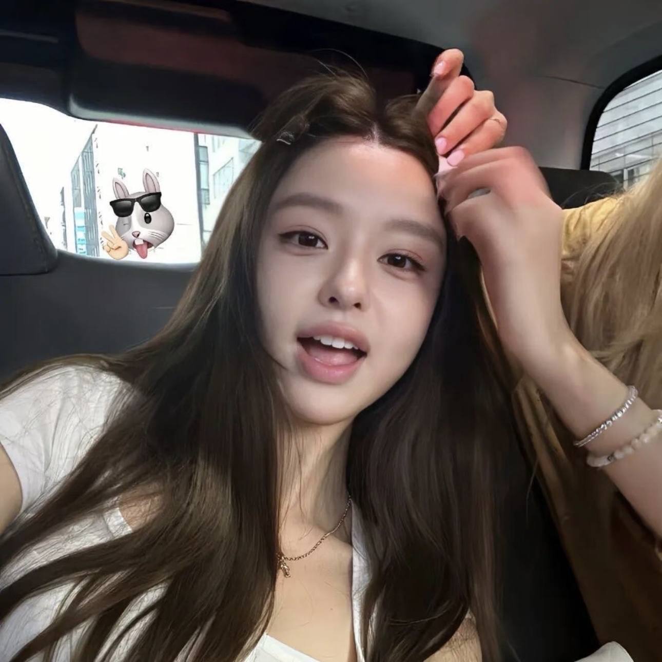 King Charles Cavalier